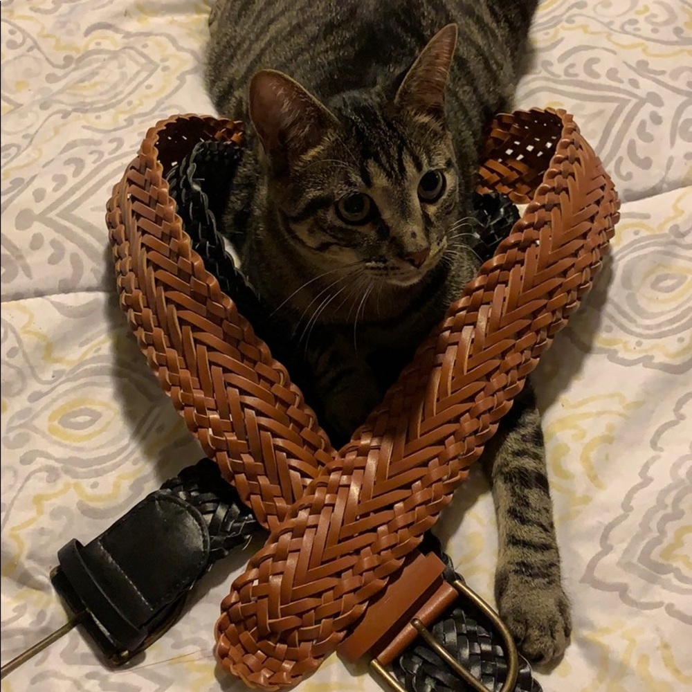 2 waist belts never worn, no tags!